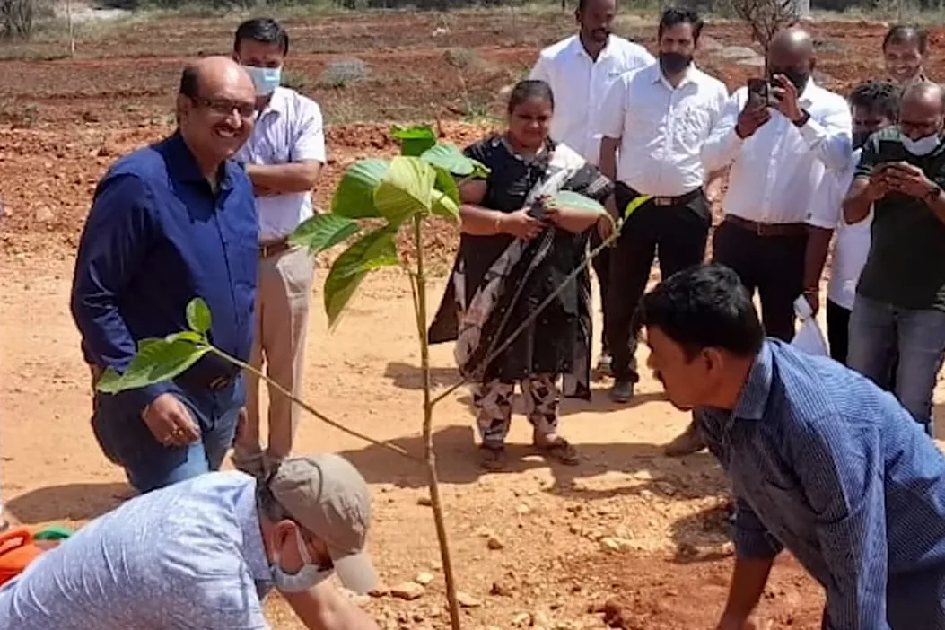 Two people lowering a sapling into a pit of cleared red earth while colleagues watch.